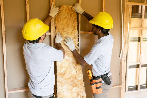 Eco-Friendly or Green Insulation Solutions in Cedar Hill, TX